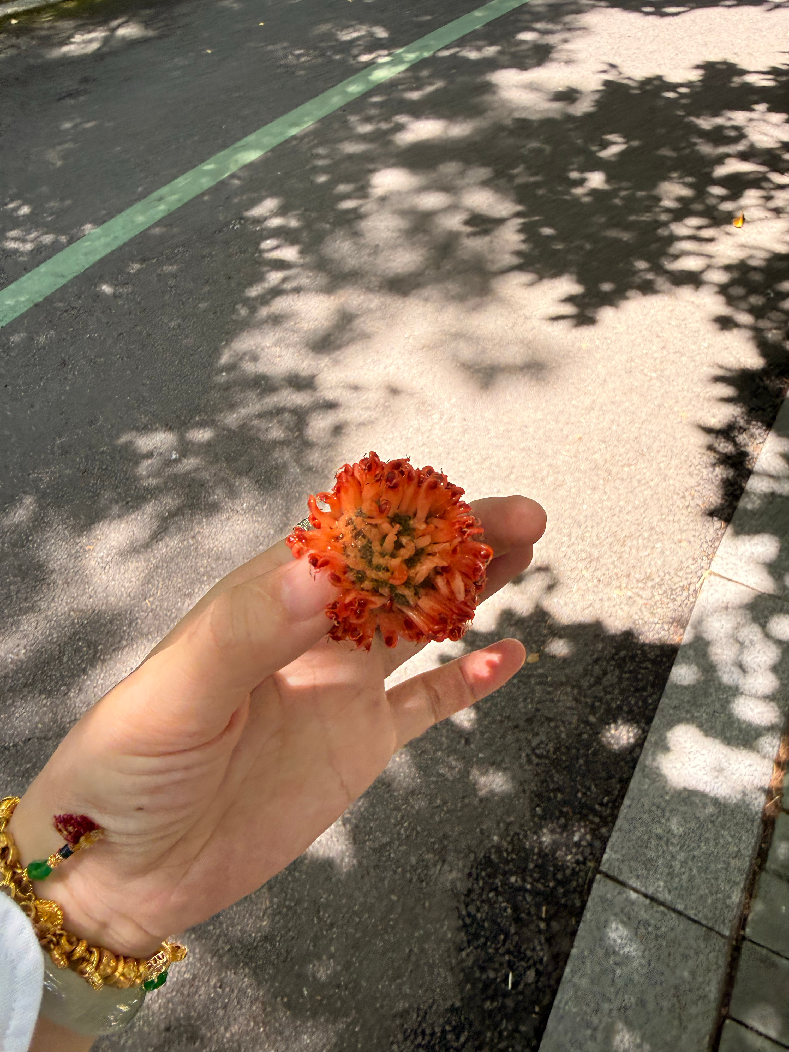 构树花没想到这么甜，好像不能多吃，但是很好吃欸生命在于尝试 