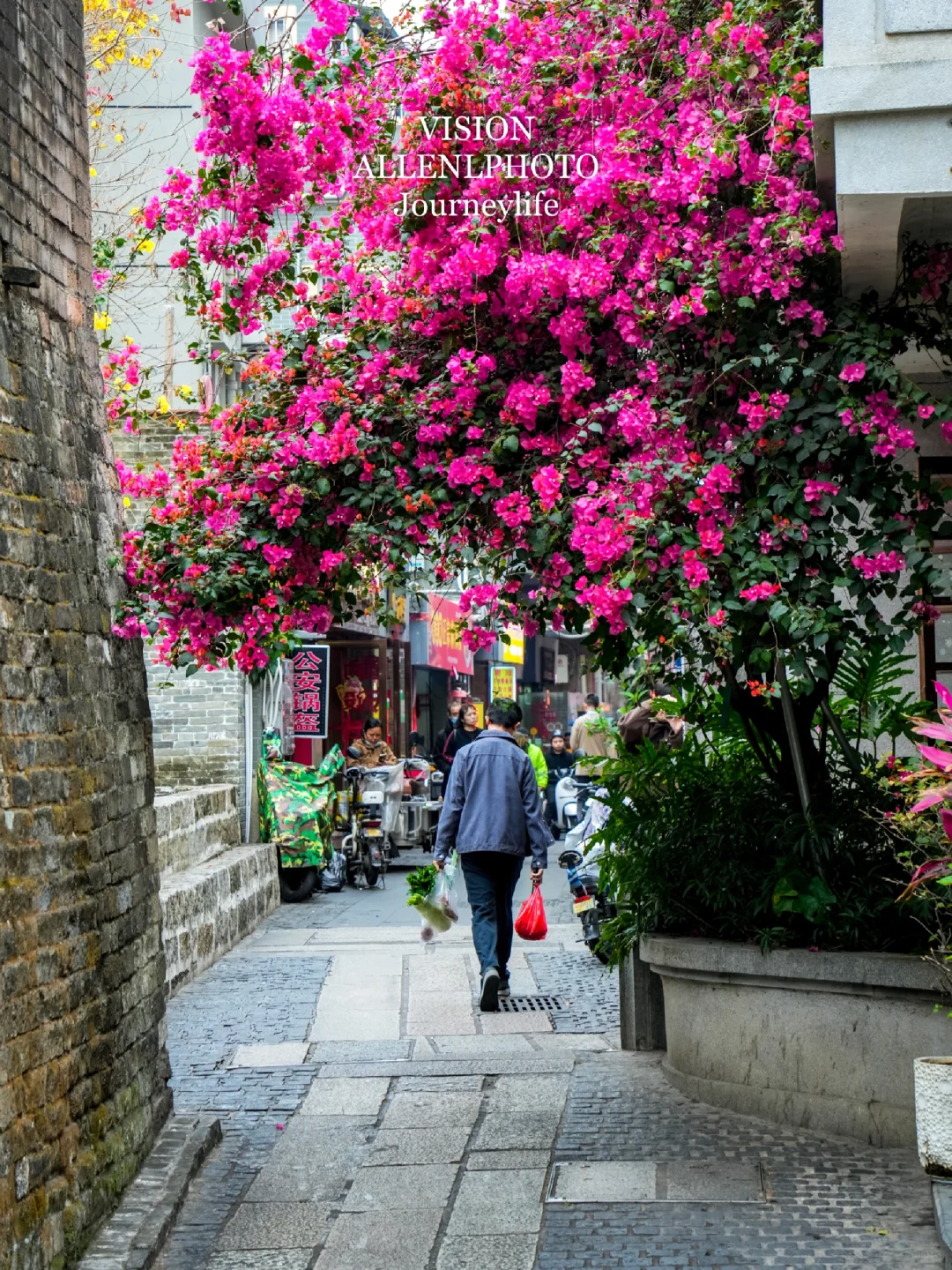 轻松不花冤枉钱，带父母去深圳一日逛吃打卡