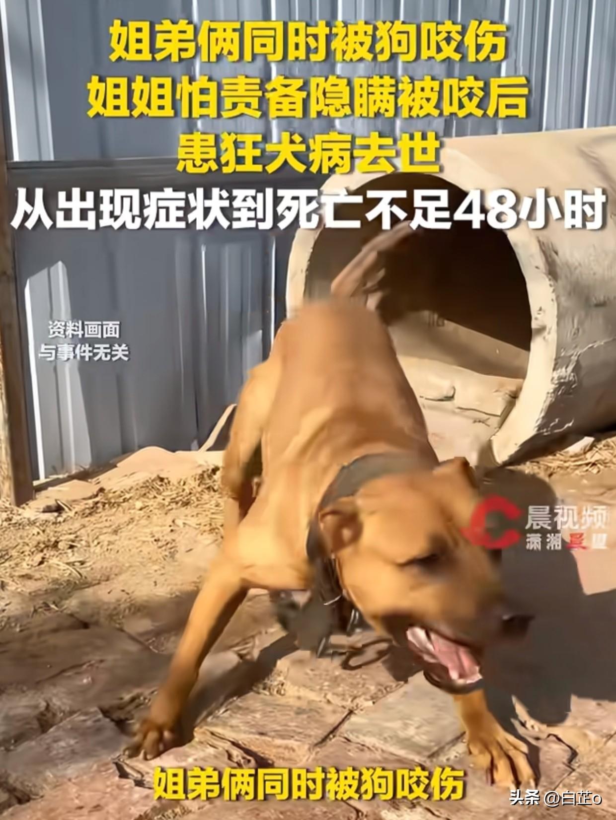 姐弟俩被同一条狗咬伤，弟弟活蹦乱跳，姐姐却因一句话没说，48小时不到就走了……