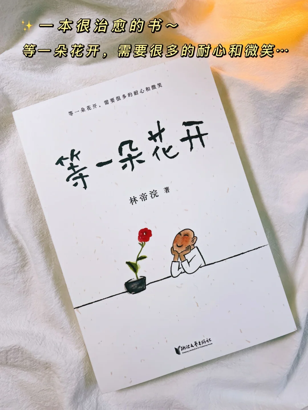 《等一朵花开》