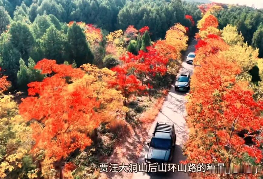 徐州去哪玩，肯定大洞山，彭城第一峰，泰山难分辨，日出东方红，秋日景更艳。