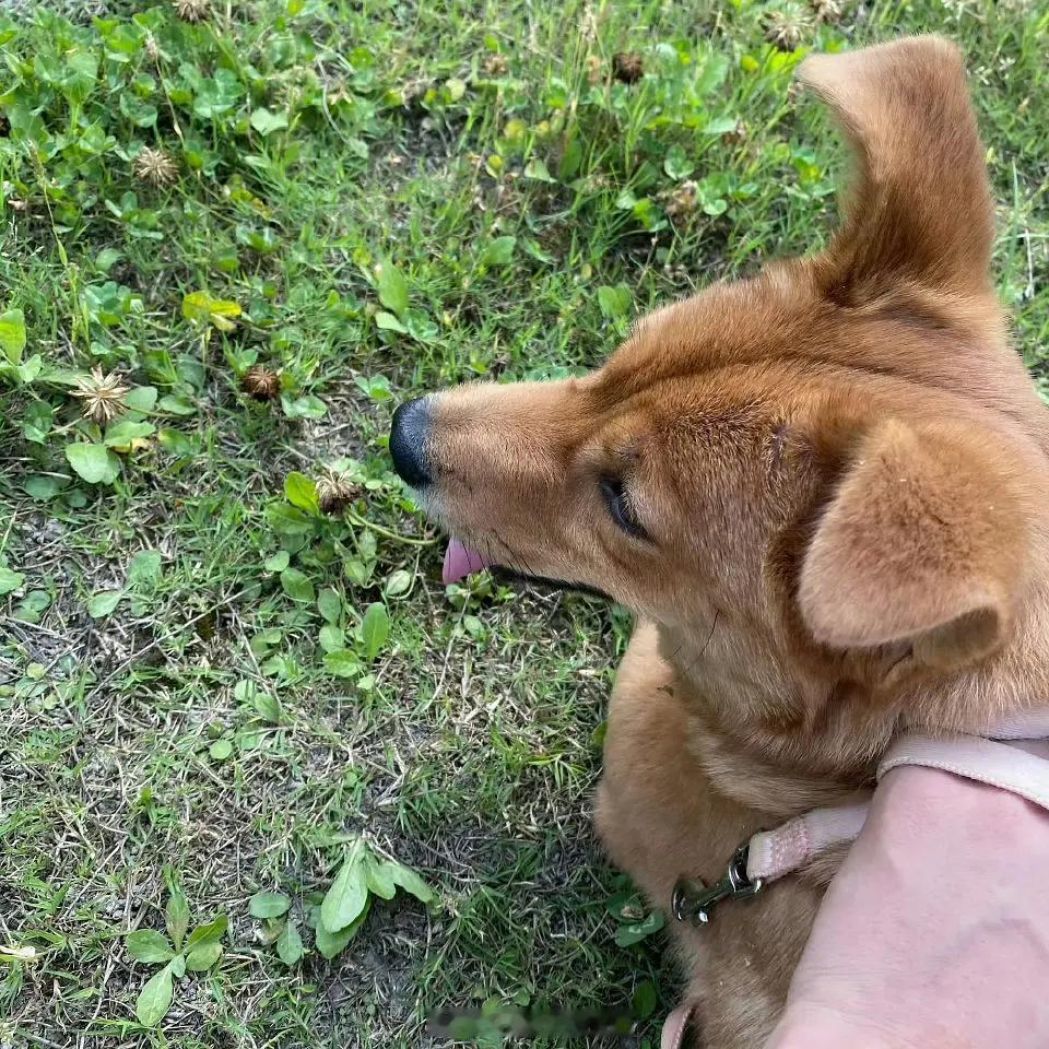 田栩宁这事还有番外 