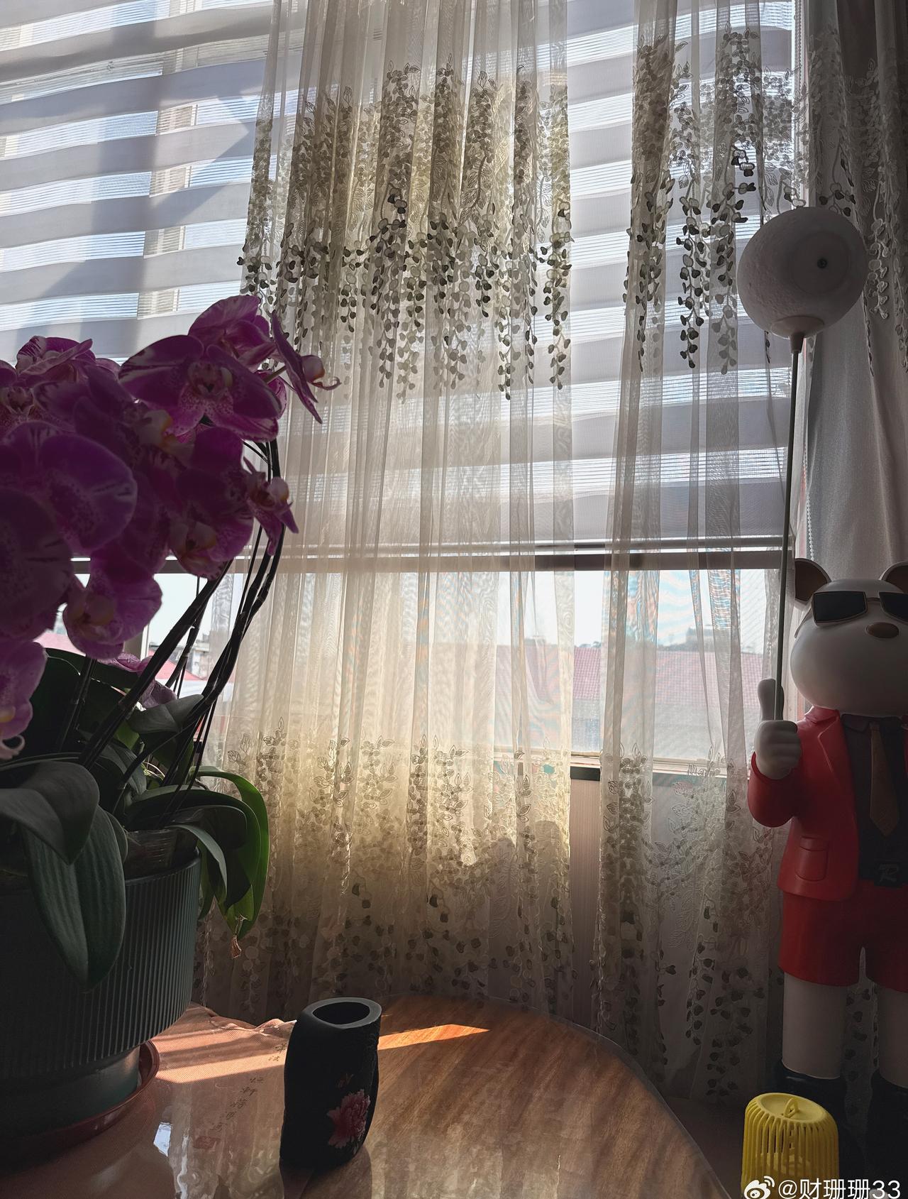 广州正式入夏了[太阳] ​​​