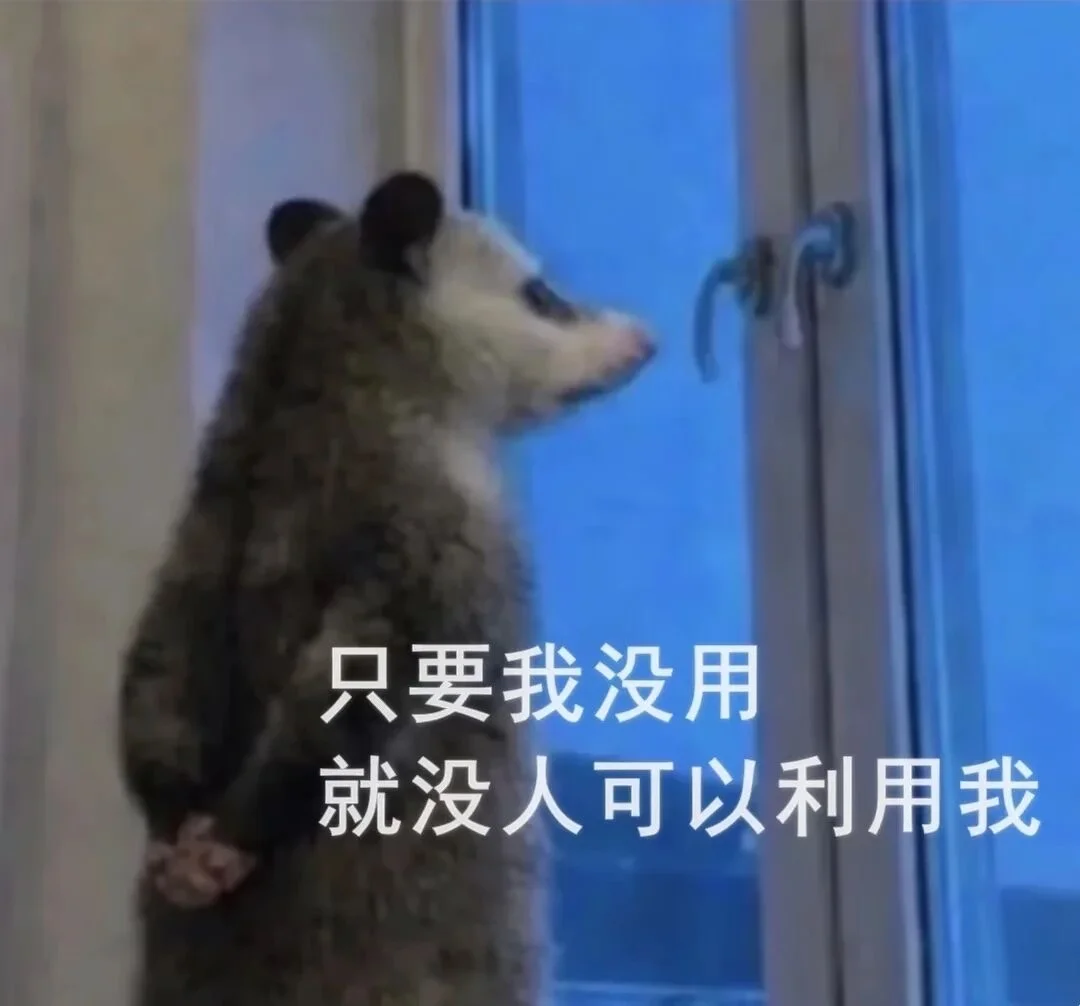 负鼠表情包统治了互联网