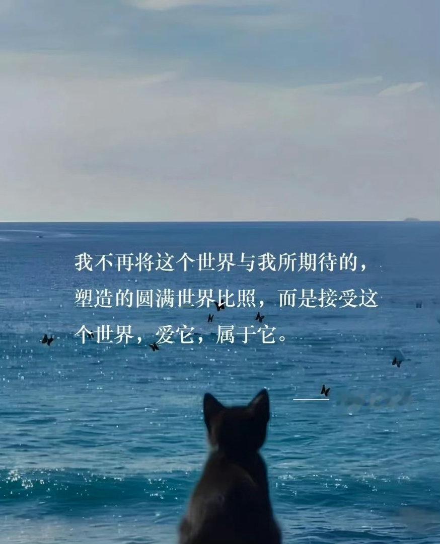 黑塞《悉达多》中渡人无数的金句 