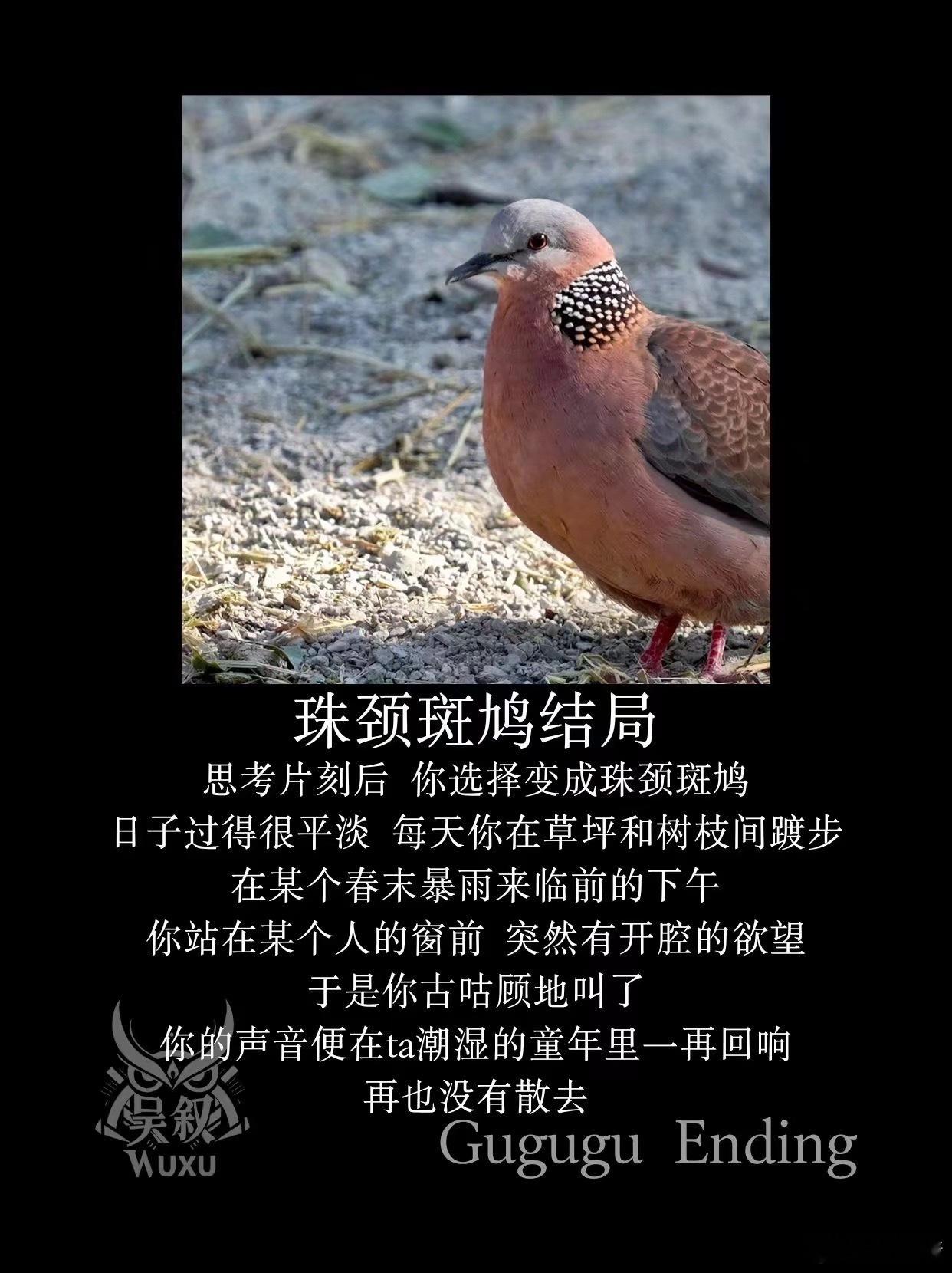 选择一种你的鸟结局 