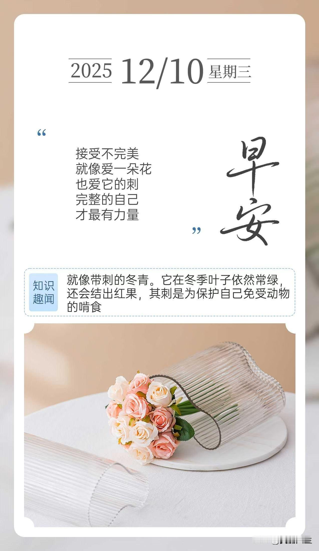 接受不完美
就像爱一朵花
也爱它的刺
完整的自己
才最有力量[太阳]