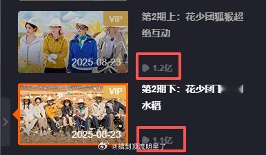 《花少7》不到25h第二期上播放破亿，不到30h第二期下播放量破亿（svip24