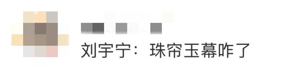 如果珠帘玉幕不是刘宇宁演会咋样 ​​​