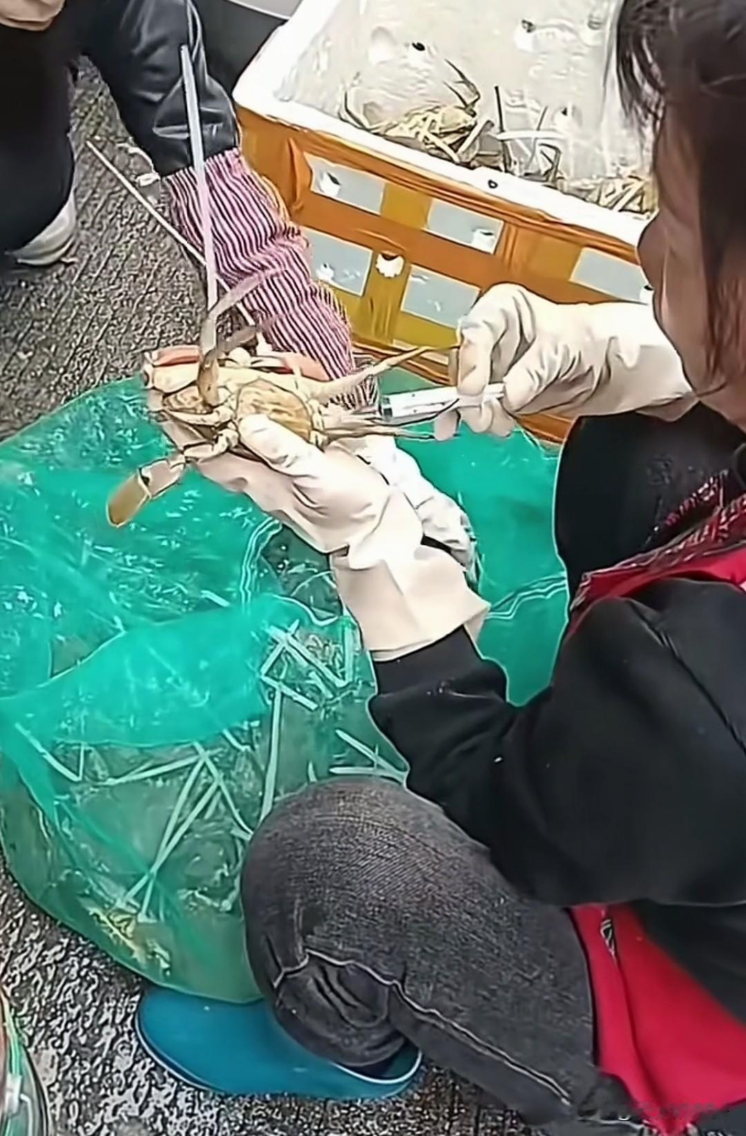 这螃蟹感冒了吗？干嘛给它打针呢？