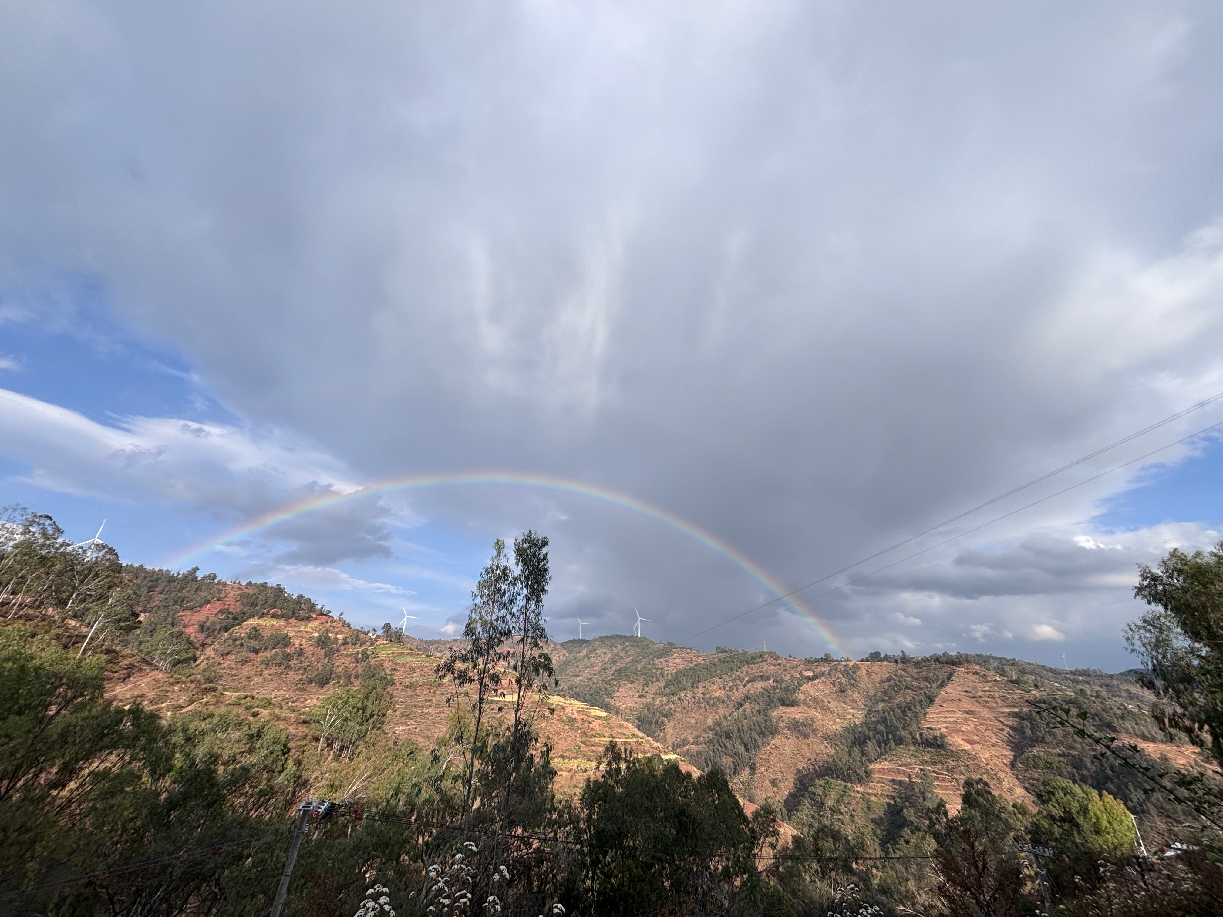 书读多了世界就变了我的私人宝藏书单书评 从你的眼睛里，我看见整个宇宙傍晚出门扔垃