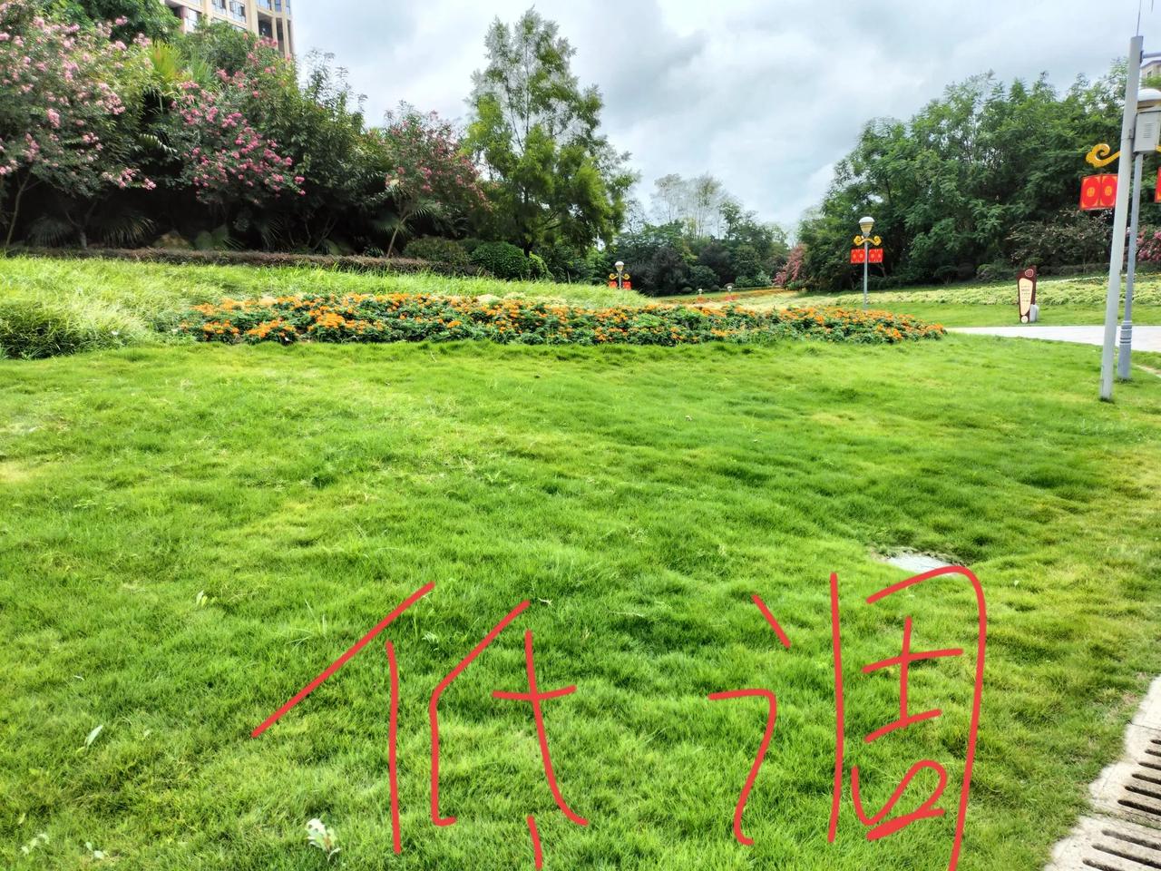 我们做人要低调，因为一条朋友圈我看出了做人的另一面。


我昨天发布了一条朋友圈