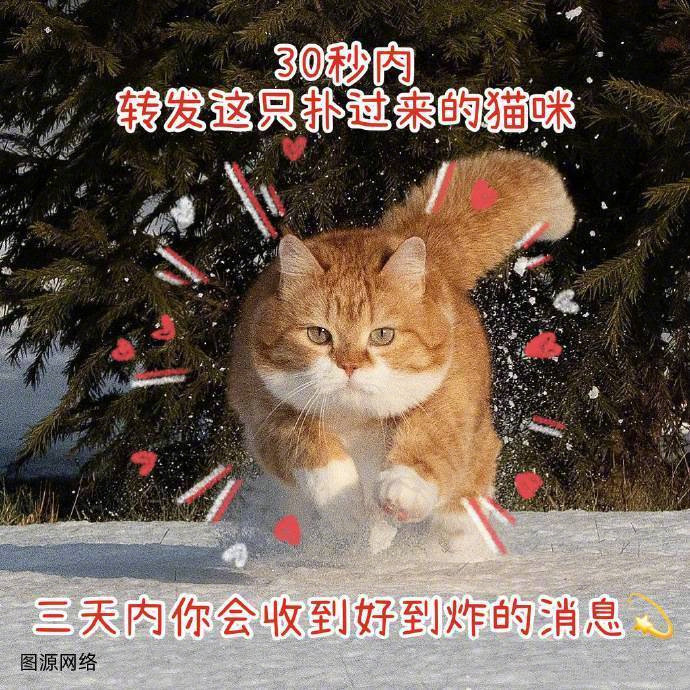 超神的一张图，建议你们试一试！