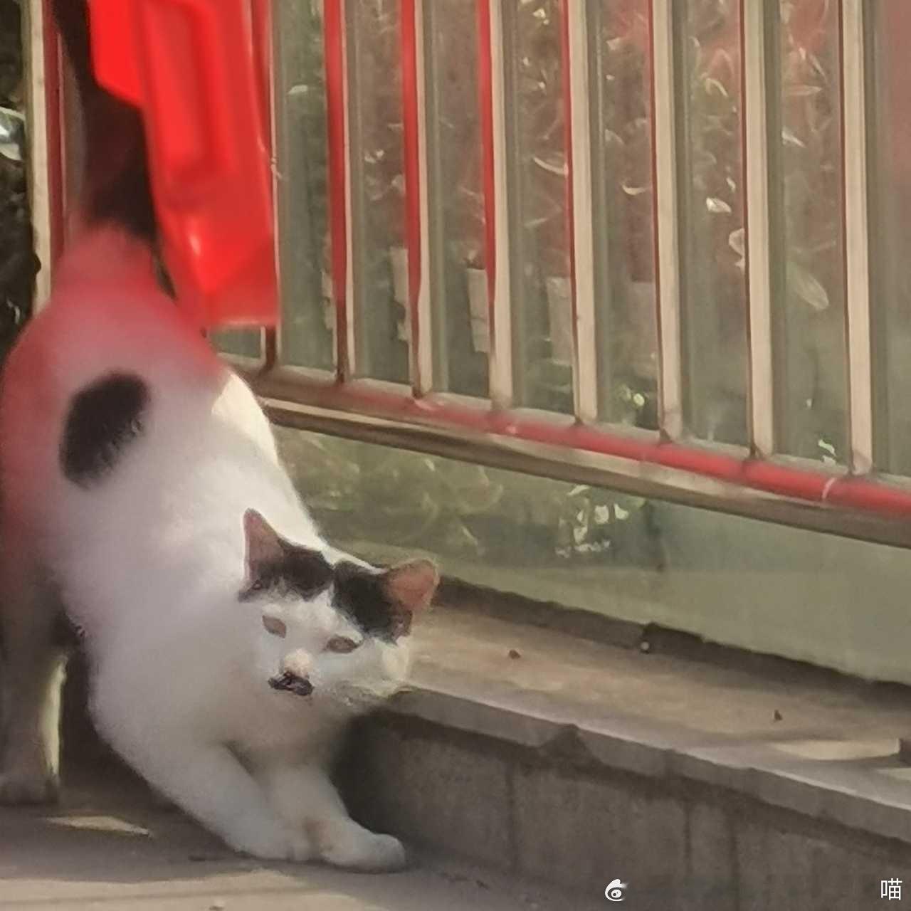 49054【心灵丑】 
