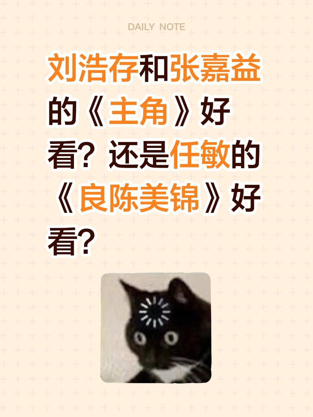 刘浩存和张嘉益的《主角》好看？还是任敏的《良陈美锦》好看？刘浩存 张嘉益 电视剧