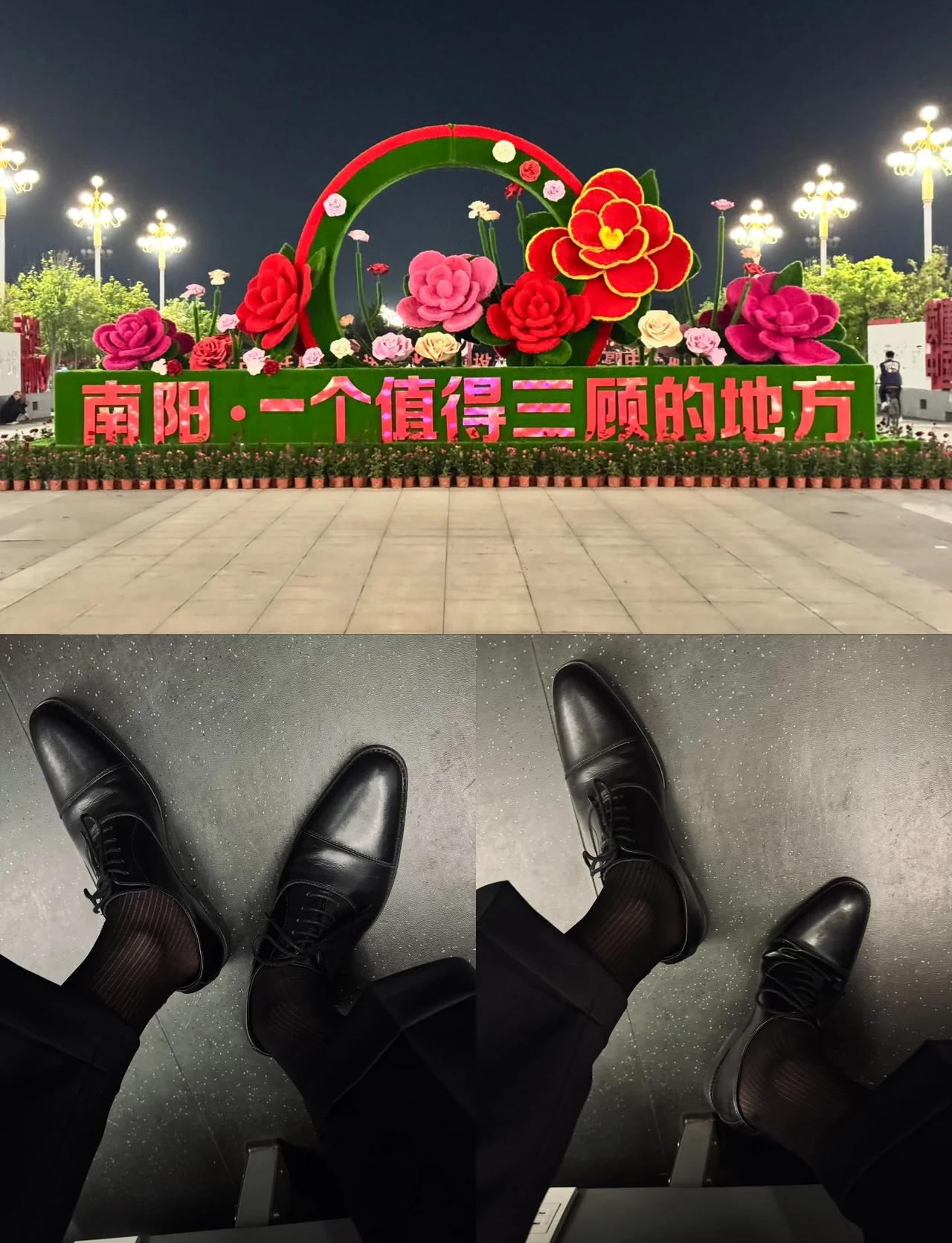 最近东站整得还挺好看
欢迎来南阳看月季
日常穿搭