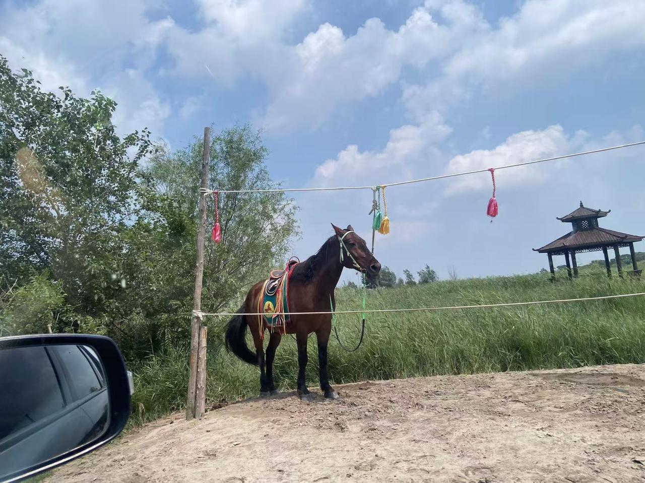 有很多旅游地方，主打的就是让游客花钱。而且目的很明确，就是让游客花冤枉钱。比如我