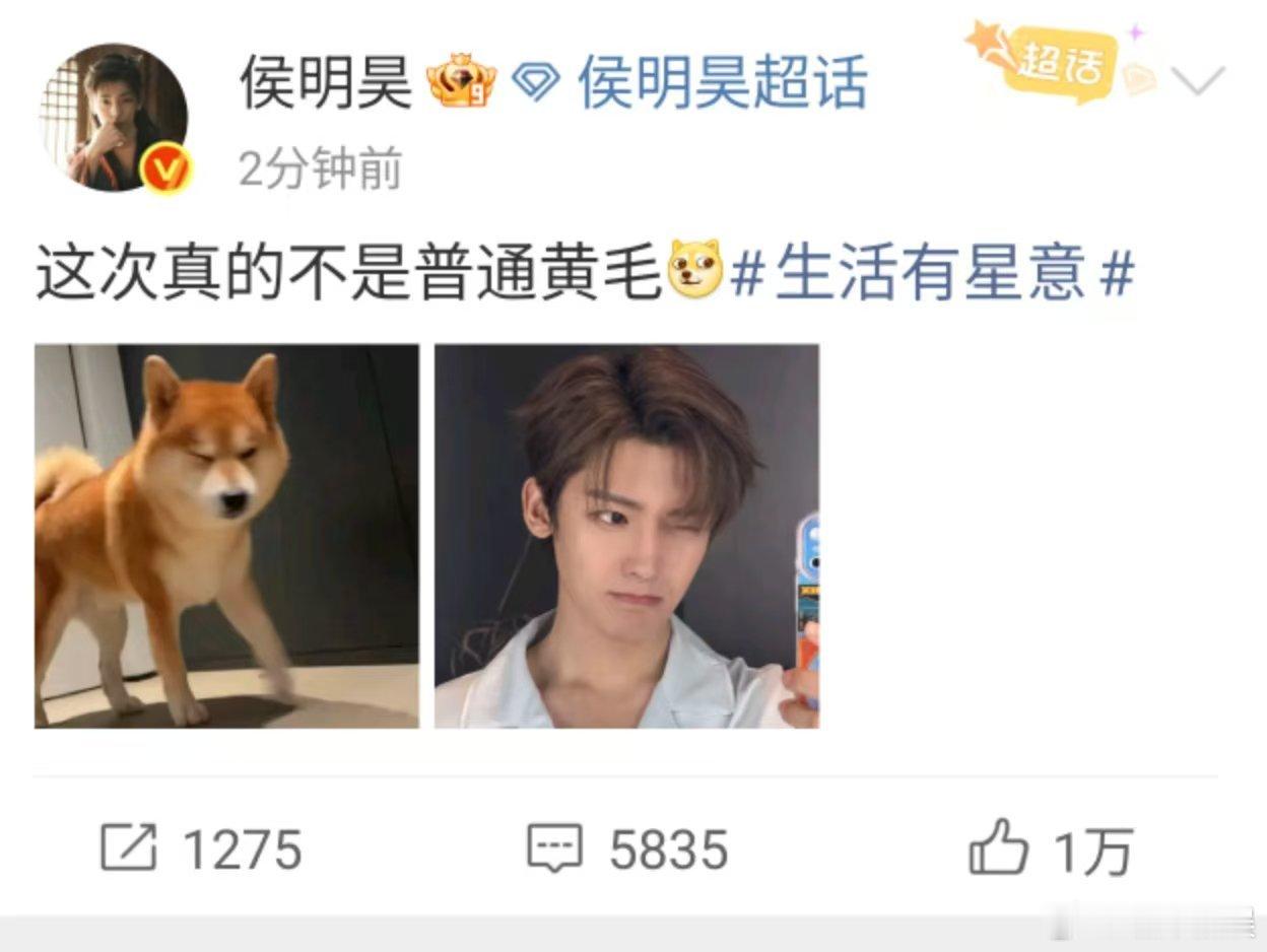 侯明昊不是普通的黄毛侯明昊这次真的不是普通黄毛侯明昊不是普通的黄毛，哈哈哈，[嘻