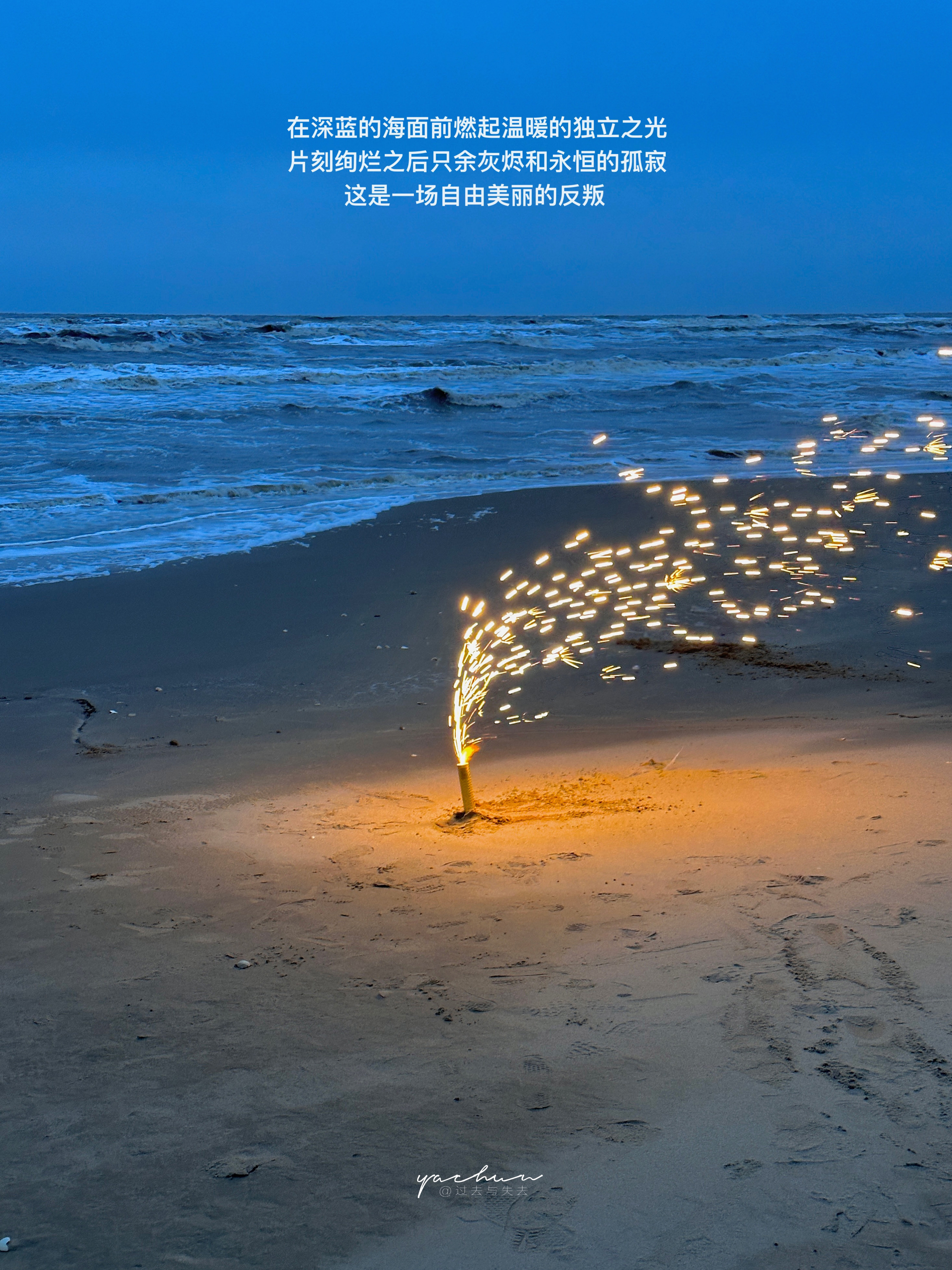 一场自由美丽的反叛  ​​​