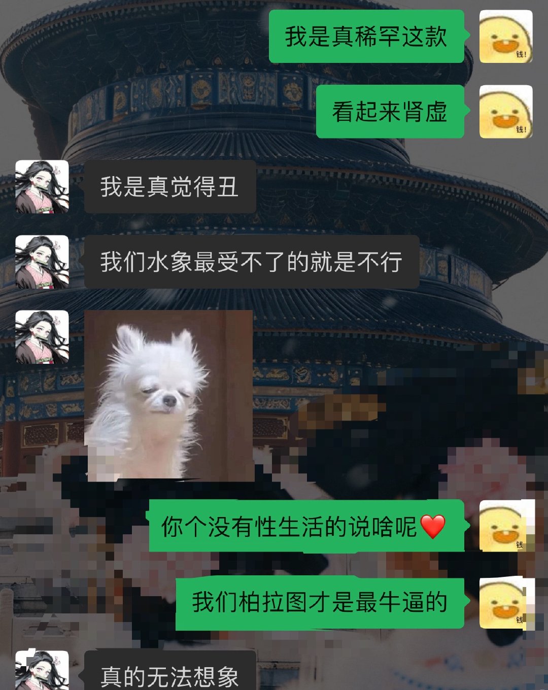 谁还记得菠萝奶嗏以前是搞煌的....随着年纪的增长现在变柏拉图了..... 