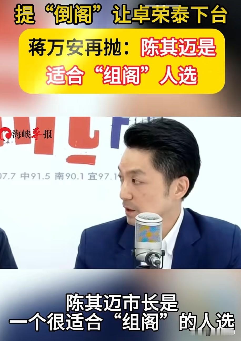 蒋万安再抛：陈其迈是适合“组阁”人选

凯道反毒油集会掀起庞大民怨之后，台北市长