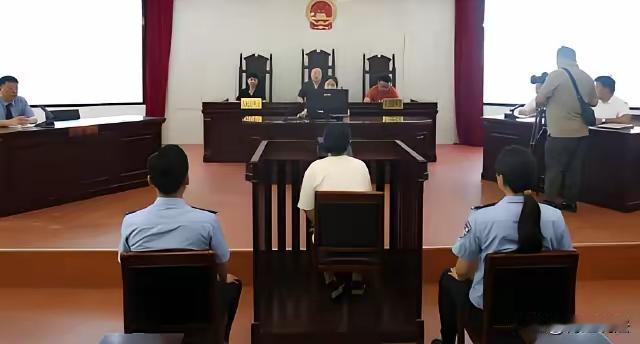 这起案件涉及多重复杂的法律和道德问题，值得深入分析。

一、案件事实总结
整体来