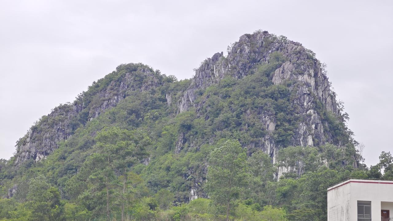 雷州离杭州1700多公里，毛驴是后天晚上才到杭州，这样我们后天到杭州就行了。不用