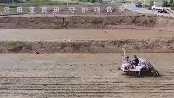 当前全国春耕春管已进入梯次推进的关键阶段，各地锚定粮食稳产目标，一手抓科技赋能，
