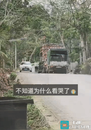 女子不知道经历了什么事儿，生无可恋的走在马路上。
路过的司机看到这一情况，都是温