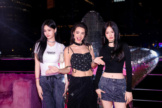 只能用权威来说