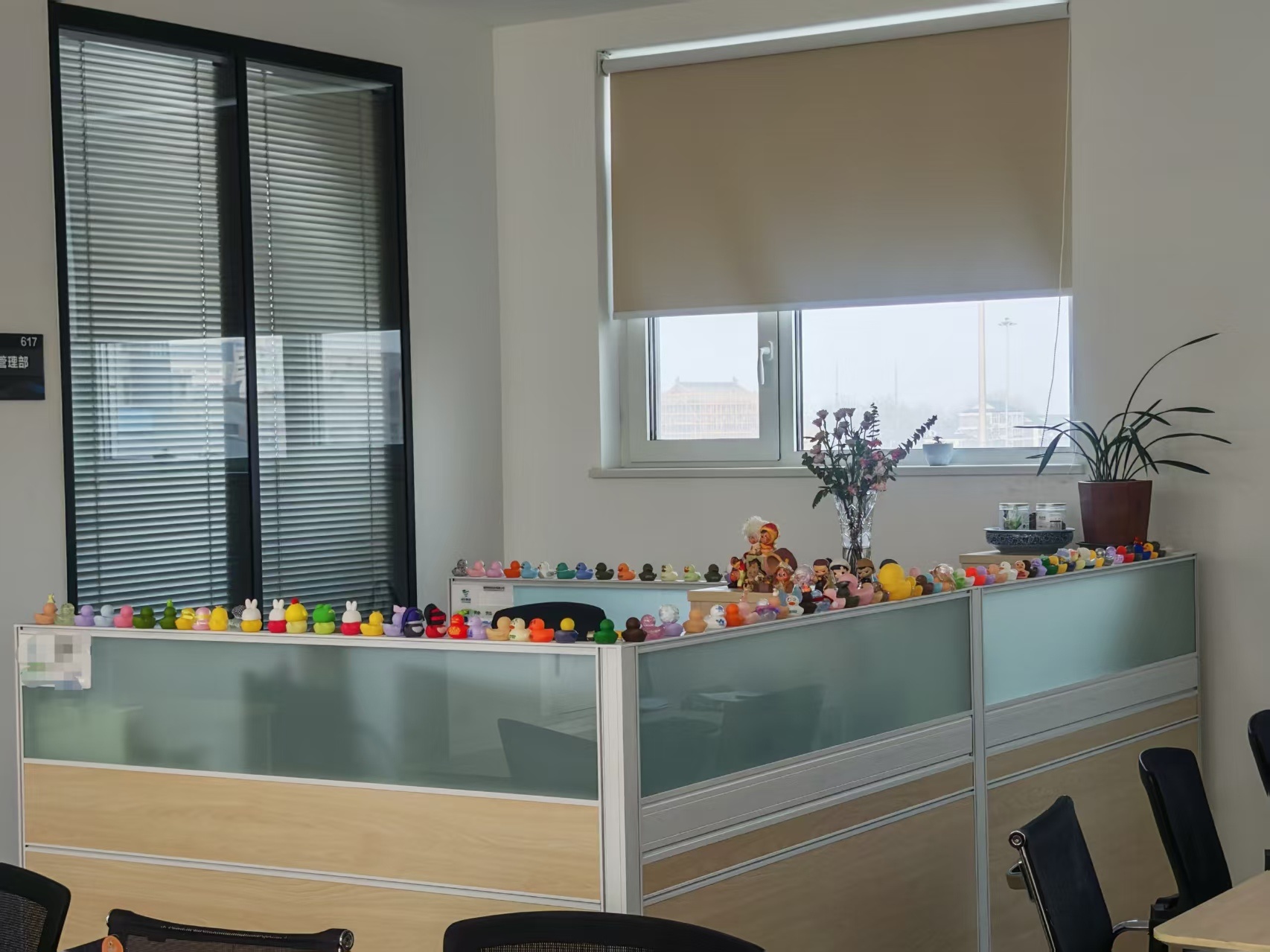 车若初见 真喜庆，办公室养上鸭子了