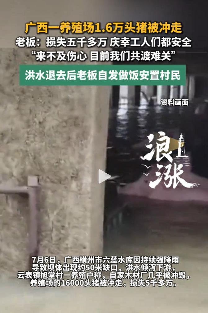 1.6万头猪没了！

广西一老板损失5000多万，还在庆幸工人没事就好，就该他有