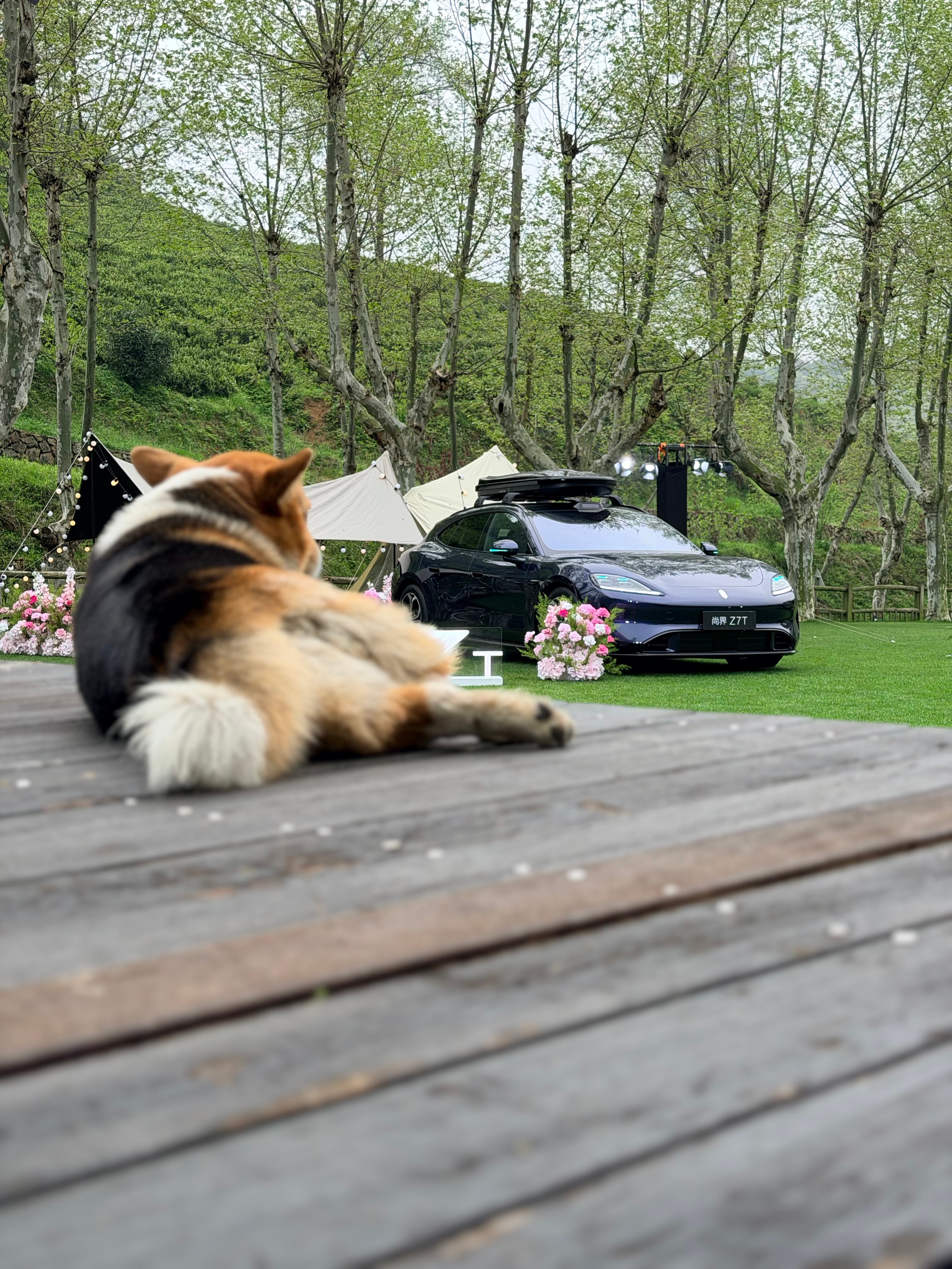 千万不要来莫干山！来了之后就无心工作霸天出游记 尚界 尚界z7t