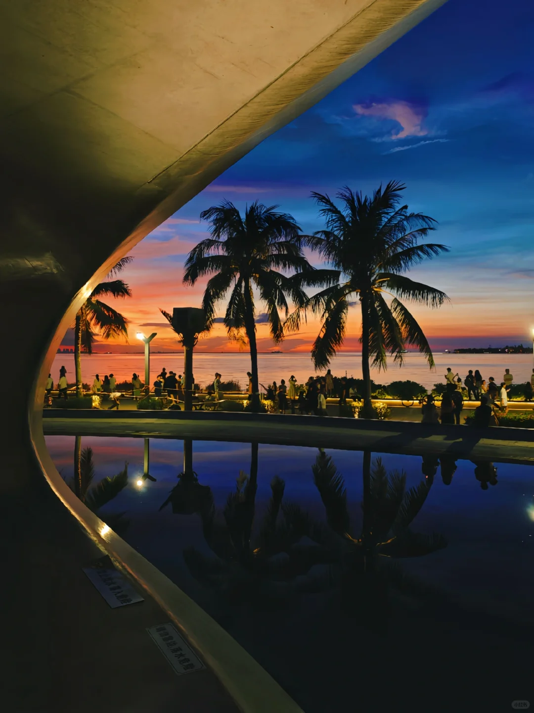 人生建议！一定要在海口看一场椰风日落！