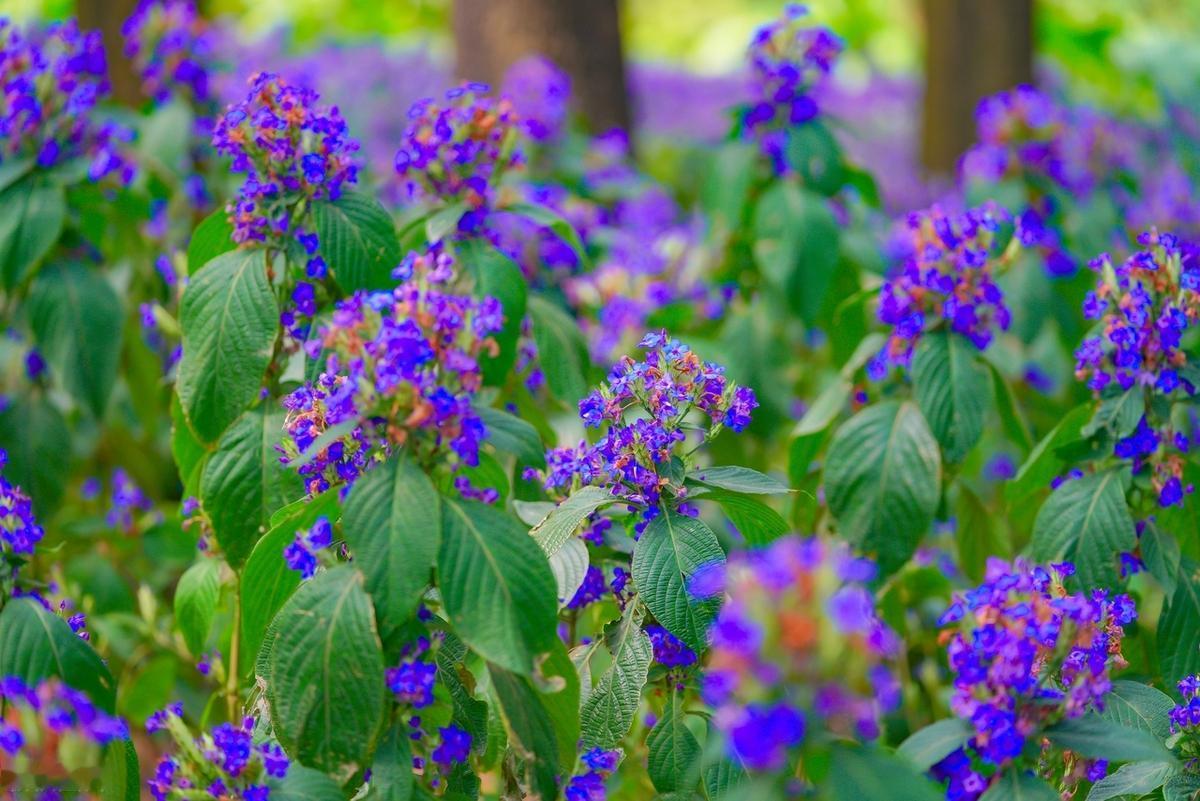 时间是最公平的，它给每个人的一天都是24小时，如何利用时间，决定了我们人生的高度
