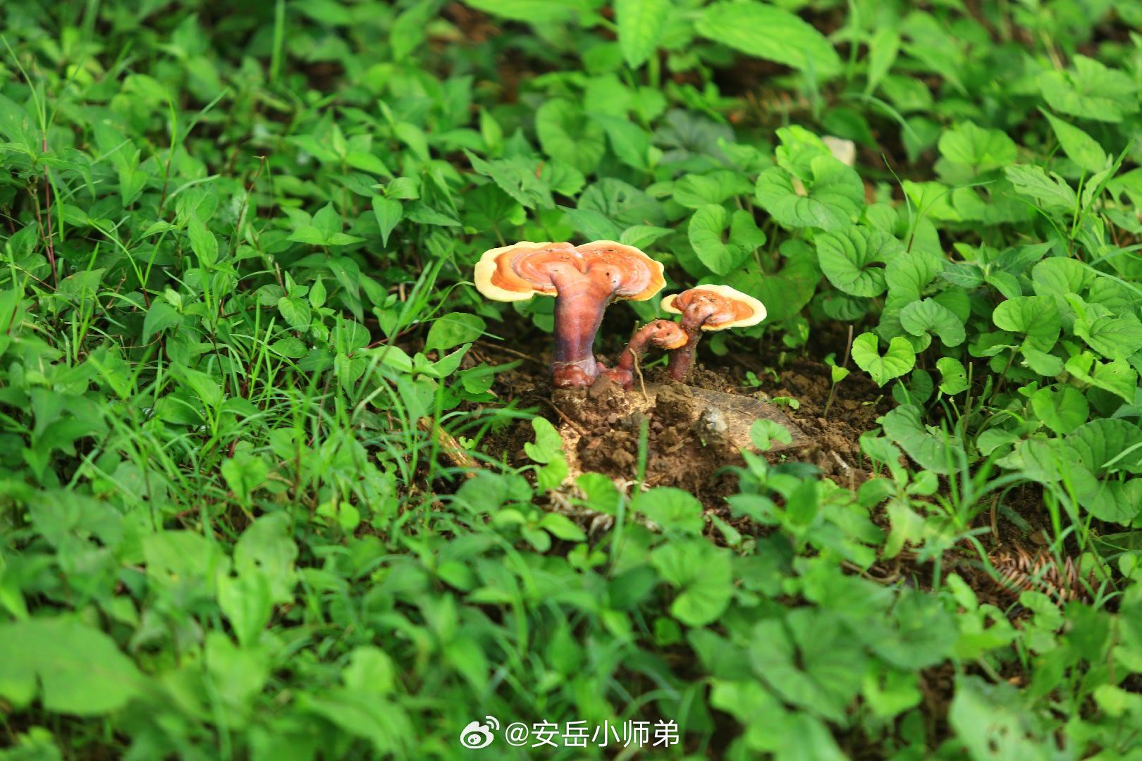 有车以后才明白的道理 有车看似拓展了出行自由，实则多了不少隐形开销与牵绊。油费、