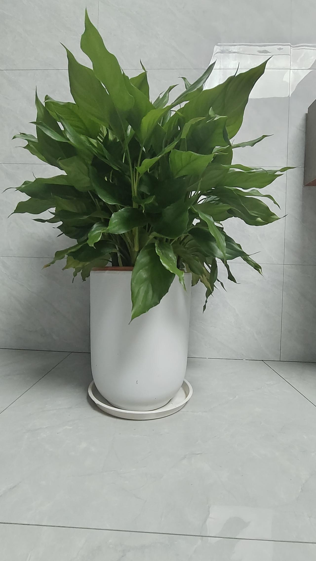 冬日生活打卡季