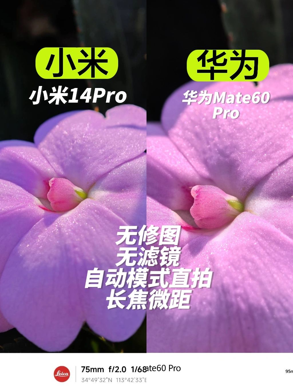 同一个场景徕卡和XMAGE的不同风格