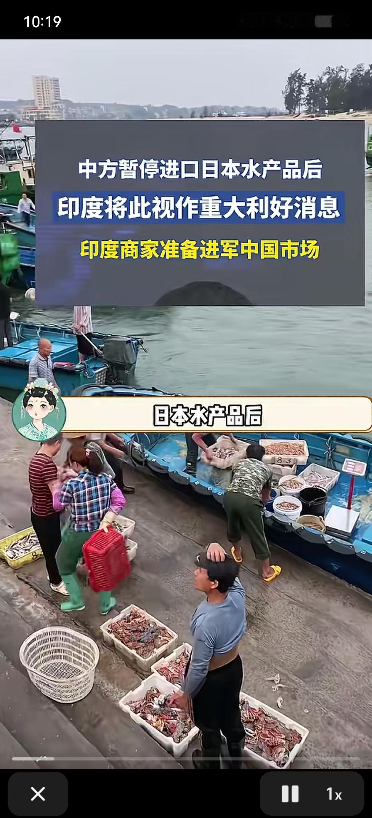 警惕！印度虾便宜30%想进军中国？这些隐患不得不防
 
中方暂停进口日本水产品后