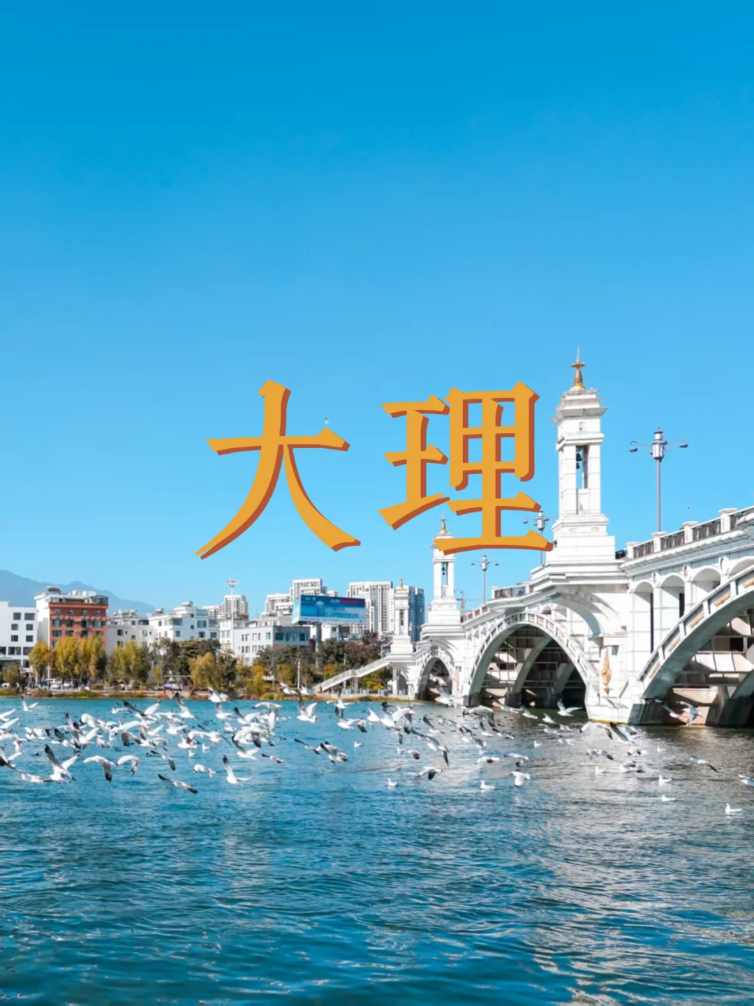 22℃的夏天谁懂啊！带娃躲进大理的清凉里