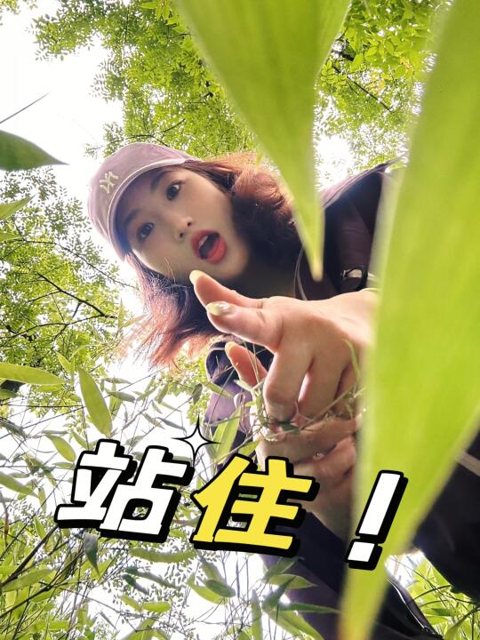 来山里玩吧～