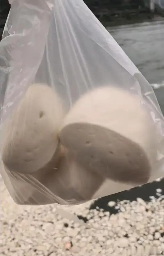 做人有了标准：先从不浪费粮食开始，浪费粮食是犯罪，应把这些人圈起来，7天不让他们