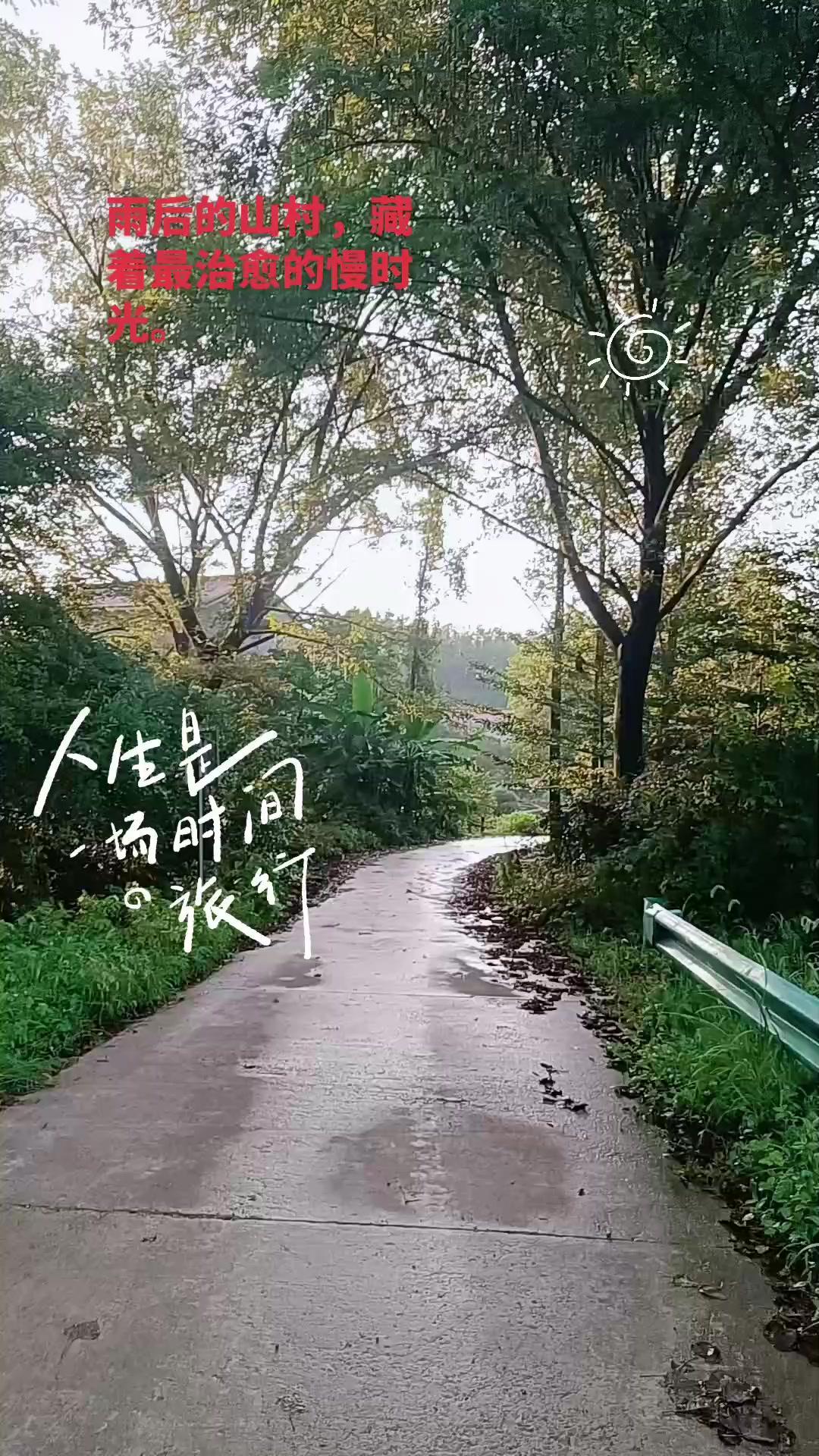 🌧️雨后山村，治愈慢时光藏不住啦！雨后的山村真的太美了，空气里都带着泥土和青草