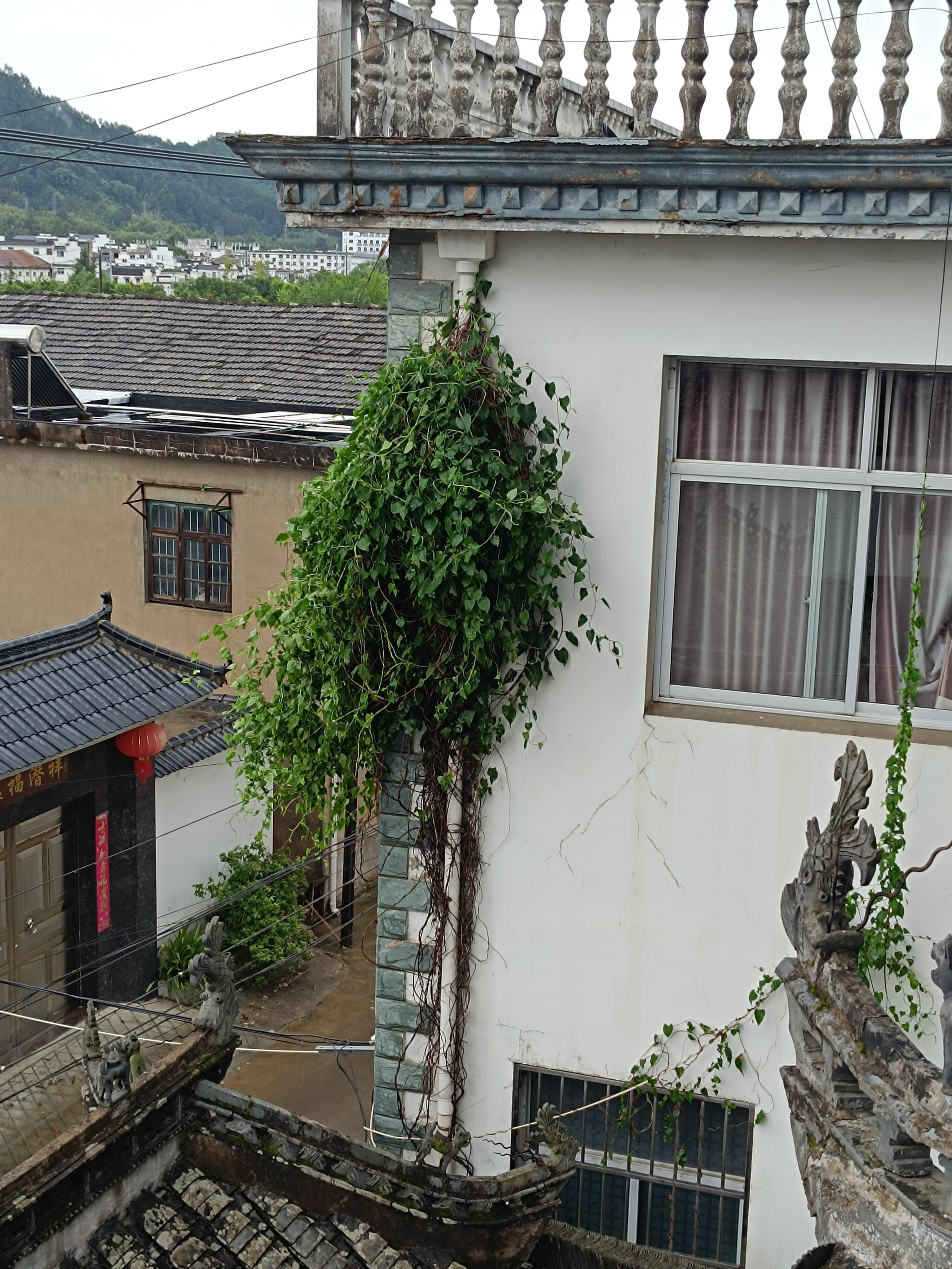 我们的泥瓦工一天350元，需要配两个女工，女工一天90元。他们出的力是反过来的，