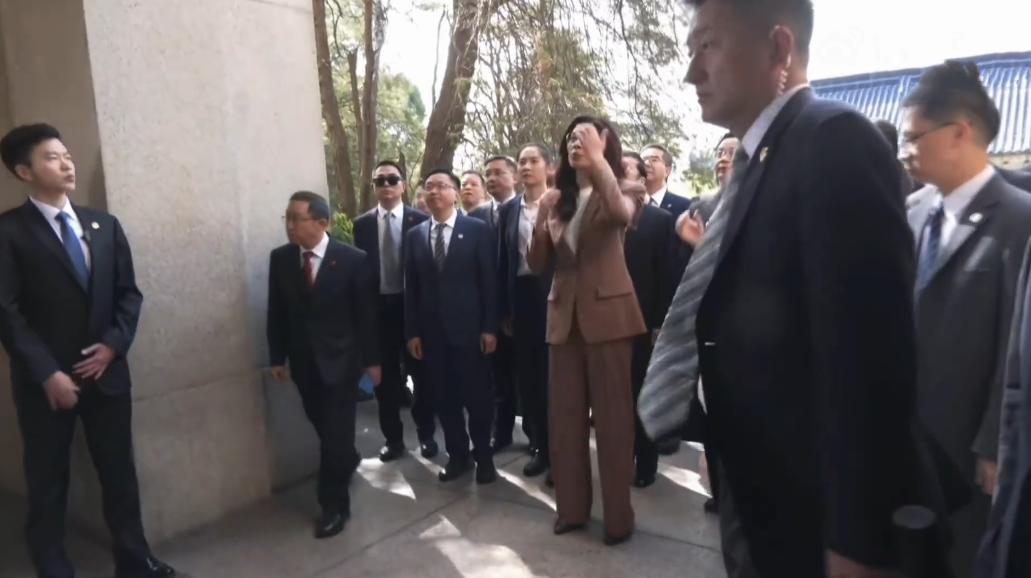 [机智]评几句：一般来说，祭奠时宜穿深色衣服，如黑色、深蓝色、深灰色等较为沉静的