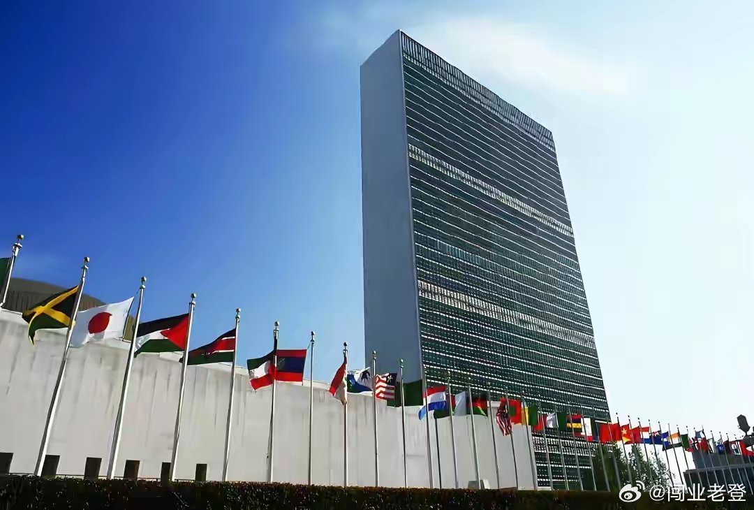 巴林要求安理会授权对伊动武，中方告知一票否决，法国或站队中俄巴林等国推动涉霍尔木