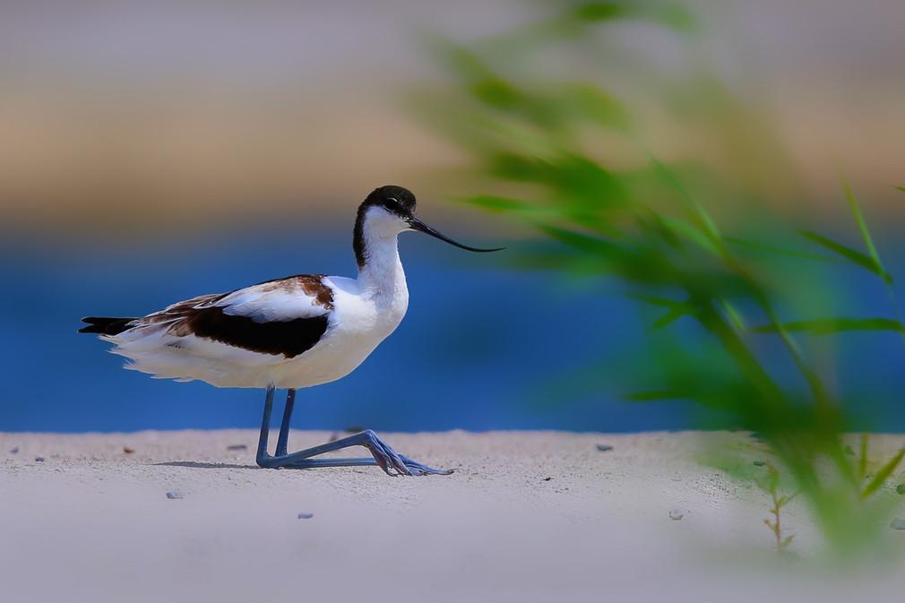 我经常都跟我的学生讲，选对另一半非常重要，比如说你学习不好，那你就找个学习好的另