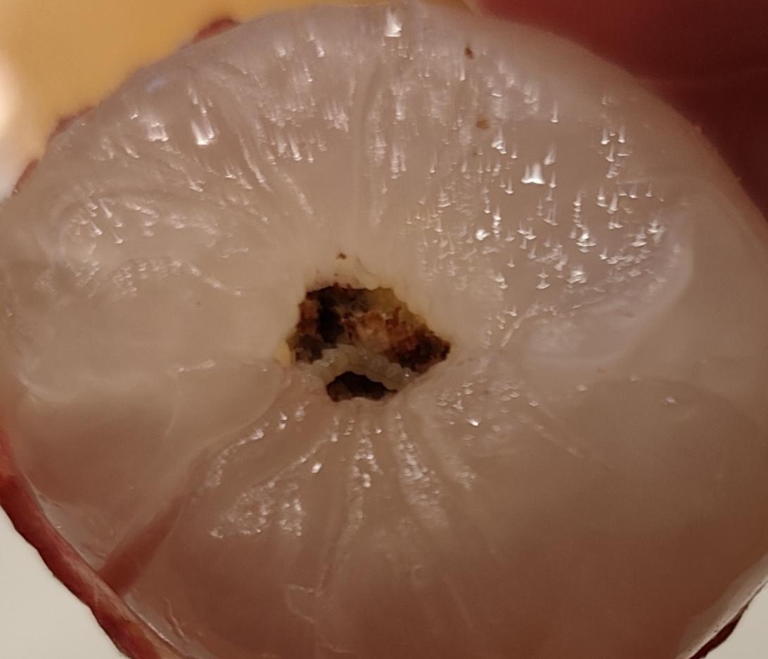 昨天吃荔枝，剥开第一只就看到里面有活的，白色的虫子，好像中奖一样难得。幸亏我剥开