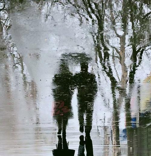 【别让感情变成“雨天的影子”——不关心，慢慢变陌生！】

嘿，朋友们，咱们都知道