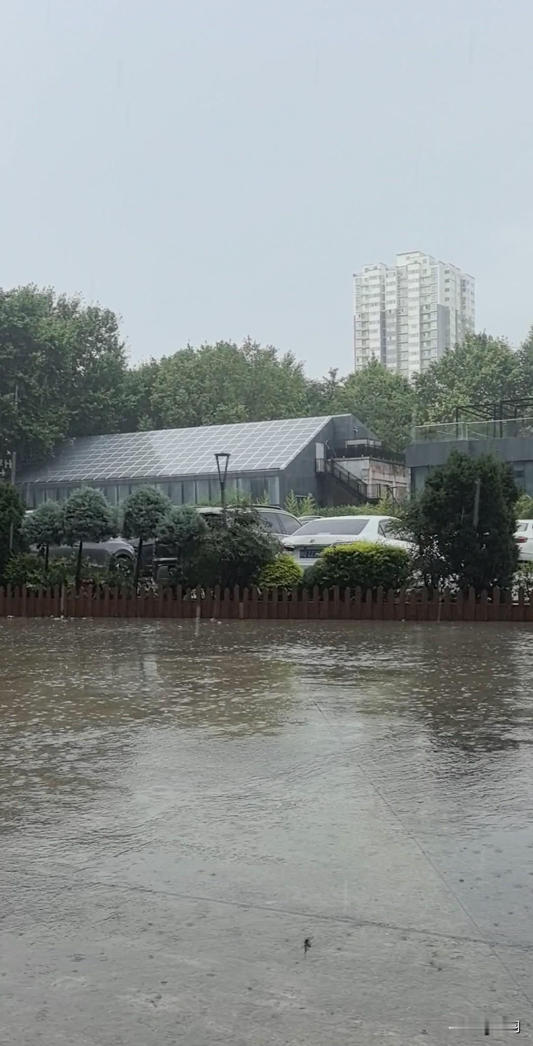 大约18：25，天色渐阴，太阳隐匿不见，一时间风起云涌，雨点缓缓飘落。
彼时我正